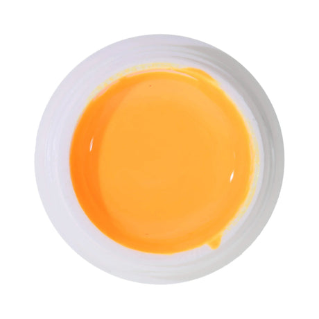 #598 Premium-DEKO  Color  Gel 5ml  Neon  NOT  FOR  COSMETIC  USE