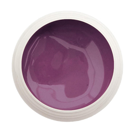 #806 Premium-PURE Color Gel 5ml Violett - MSE - The Beauty Company