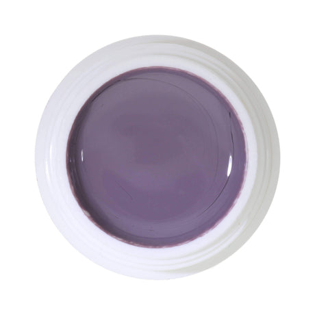 # 391 Premium-PURE Color Gel 5ml purple gray
