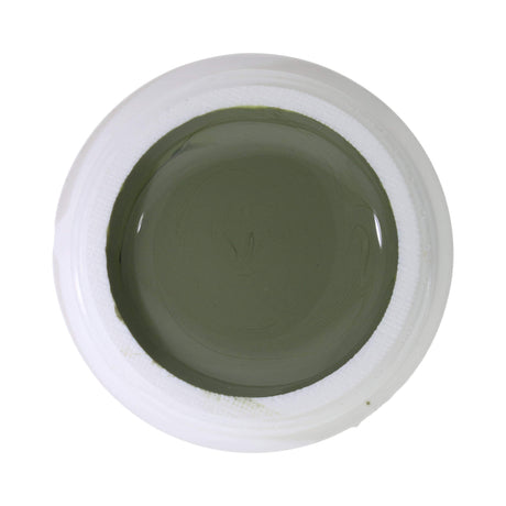 # 691 Premium-PURE Color Gel 5ml Green