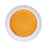 #1061 EFFEKT Farbgel 5ml Orange - MSE - The Beauty Company