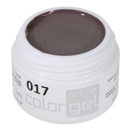 #017 Premium-PURE Color Gel 5ml Neutrales Graubraun