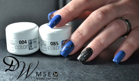 #085 Premium-EFFEKT Color Gel 5ml Schwarz mit ausgeprägtem Silberglitter - MSE - The Beauty Company