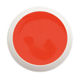 #508 Premium-PURE Color Gel 5ml Neon Gelb-Rot - MSE - The Beauty Company