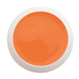 #583 Premium-PURE Color Gel 5ml Orange - MSE - The Beauty Company