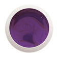 #701 Premium-EFFEKT Color Gel 5ml Violett - MSE - The Beauty Company