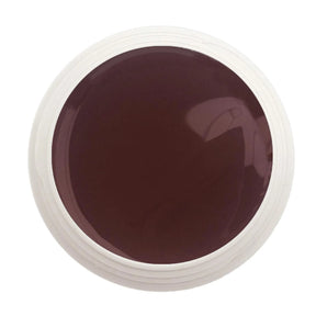 #729 Premium-PURE Color Gel 5ml Braun - MSE - The Beauty Company