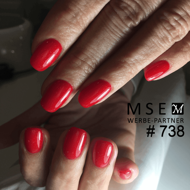 #738 Premium-EFFEKT Color Gel 5ml Rot - MSE - The Beauty Company
