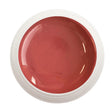 #797 Premium-PURE Color Gel 5ml Rot - MSE - The Beauty Company