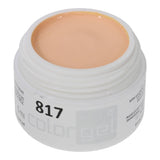 #817 Premium-PURE Color Gel 5ml Rosa - MSE - The Beauty Company