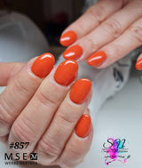 #857 Premium-PURE Color Gel 5ml Rot-Orange - MSE - The Beauty Company