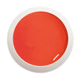 #934 Premium-PURE Color Gel 5ml Rot - MSE - The Beauty Company