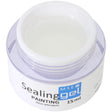 MSE Gel 404: Mal-Glanzgel / Sealing painting 15ml - MSE - The Beauty Company
