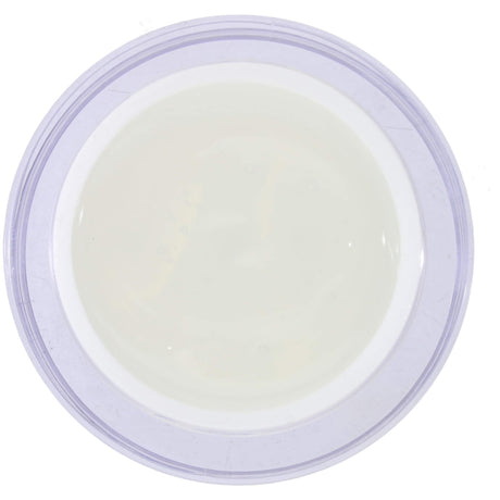 MSE Gel 404: Mal-Glanzgel / Sealing painting 50ml - MSE - The Beauty Company